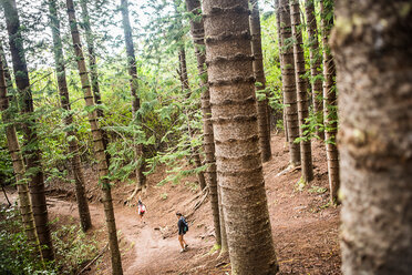 Hiker on Kuilau Ridge Trail, Kauai, Hawaii - ISF20731