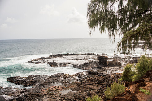 Felsenküste, Kauai, Hawaii - ISF20741