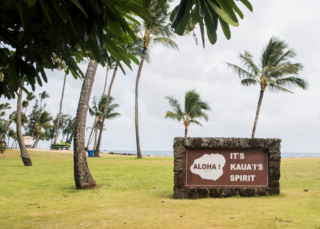 Windgepeitschte Palmen, Kauai, Hawaii - ISF20742