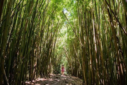 Wanderer im Bambuswald, Waipipi Trail, Maui, Hawaii - ISF20747