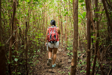 Hiker walking in rainforest, Iao Valley, Maui, Hawaii - ISF20758