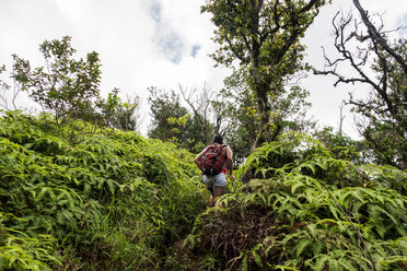 Hiker walking in rainforest, Iao Valley, Maui, Hawaii - ISF20759