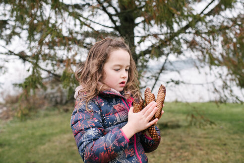 Mädchen bewundert eine Sammlung von braunen Kiefernzapfen, Kingston, Ontario, Kanada - ISF20878