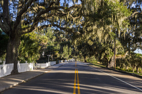 USA, South Carolina, Beaufort, Eichenbaum-Allee - RUNF01216