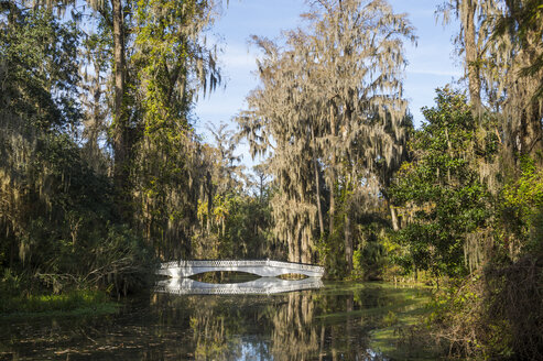 USA, South Carolina, Charleston, Weiße Brücke spiegelt sich in einem Teich in der Magnolia Plantation - RUNF01223