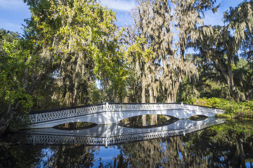 USA, South Carolina, Charleston, Weiße Brücke spiegelt sich in einem Teich in der Magnolia Plantation - RUNF01224