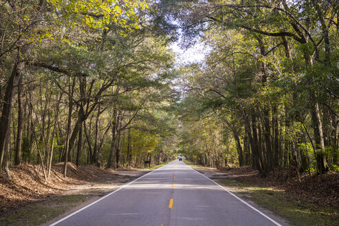 USA, South Carolina, Charleston, Eichenbäume und Straße, Magnolienplantage - RUNF01229