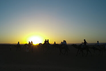 Morocco, people on camels at sunset - OCMF00280