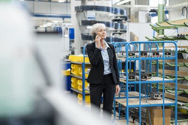 Senior businesswoman on cell phone in a factory - DIGF05763