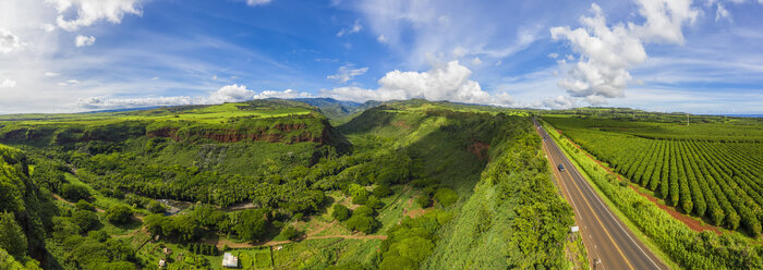 USA, Hawaii, Kauai, Hanapepe Valley, Hanapepe River and Kaumualii Highway, Aerial view - FOF10375