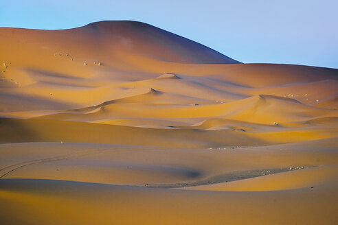 Marokko, Dünen der Wüste - OCMF00284