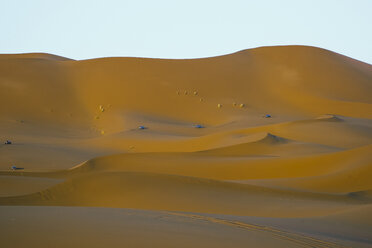 Morocco, desert, off-road vehicles on dune - OCMF00285