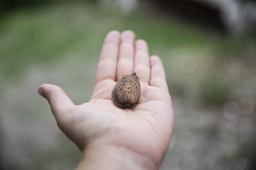 Mandel in der Hand - MAMF00415