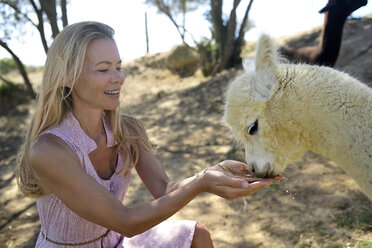 Blond mature woman with drinking young alpaca - ECPF00497