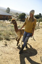 Blonde Frau geht mit angeleintem Alpaka spazieren - ECPF00512