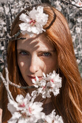 Porträt einer rothaarigen Frau hinter den Zweigen eines blühenden Baumes - AFVF02386
