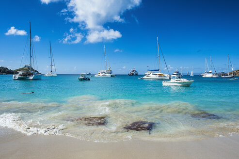 Caribbean, Lesser Antilles, Saint Barthelemy, Gustavia, Luxury yachts - RUNF01261