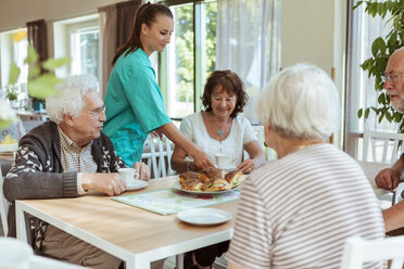Junge Krankenschwester serviert älteren Menschen am Tisch im Pflegeheim Essen und Getränke - MASF11166