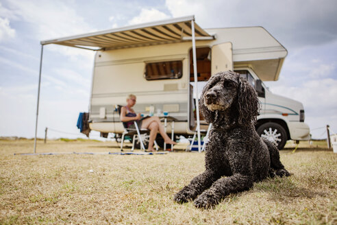 Aufmerksamer Pudel auf dem Campingplatz vor dem Wohnmobil liegend - JATF01123