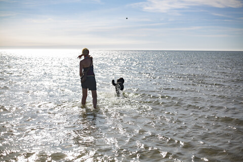 Frankreich, Rückenansicht einer Frau, die ihrem Hund am Meer einen Ball zuwirft, lizenzfreies Stockfoto