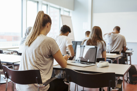 Rückansicht von jungen Studenten, die in einem Klassenzimmer an der Universität lernen, lizenzfreies Stockfoto