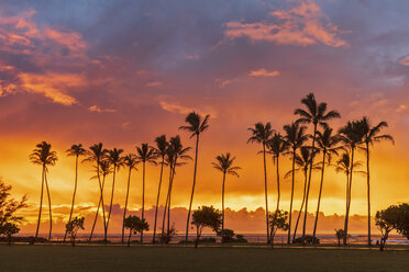 USA, Hawaii, Kauai, Pazifischer Ozean, Kapa'a Beach Park, Palmen bei Sonnenaufgang - FOF10417