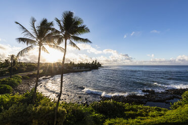 USA Pazifischer Ozean, Hawaii, Kauai, Poipu, Hoai Bay, Palmen bei Sonnenaufgang - FOF10422