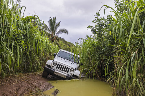 USA, Hawaii, Kauai, Geländewagen auf schlammigem Feldweg, Pfütze - FOF10442