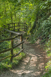 Italy, Veneto, Caglieron caves, Trail in the forest - LOMF00800