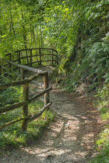 Italien, Venetien, Höhlen von Caglieron, Pfad im Wald - LOMF00800