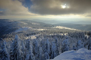 Deutschland, Bayern, Bayerischer Wald im Winter, Großer Arber, Blick über die Winterlandschaft - LBF02370