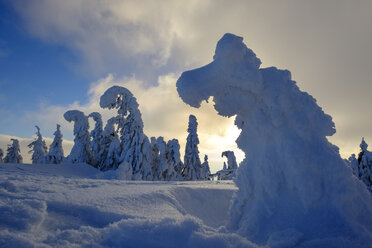 Deutschland, Bayern, Bayerischer Wald im Winter, Großer Arber, Arbermandl, schneebedeckte Fichten bei Sonnenuntergang - LBF02371