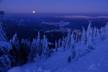 Deutschland, Bayern, Bayerischer Wald im Winter, Großer Arber, Arbermandl, schneebedeckte Fichten in der Abenddämmerung mit Mond - LBF02379