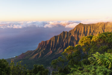 USA, Hawaii, Koke'e State Park, Koke'e State Park, Blick auf das Kalalau-Tal - FOF10466