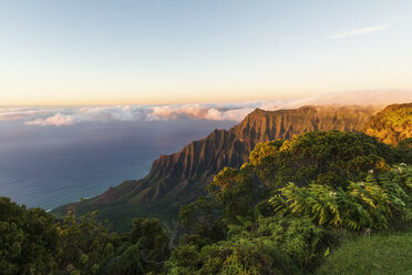 USA, Hawaii, Koke'e State Park, Koke'e State Park, Blick auf das Kalalau-Tal - FOF10467