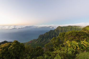 USA, Hawaii, Koke'e State Park, Koke'e State Park, Blick auf das Kalalau-Tal - FOF10468