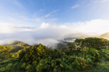 USA, Hawaii, Koke'e State Park, Koke'e State Park, Blick auf das Kalalau-Tal - FOF10469