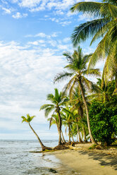 Costa Rica, Chiquita Beach - KIJF02328