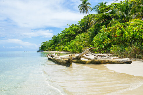 Panama, Bocas del Toro, Cayo Zapatilla, Strand - KIJF02329