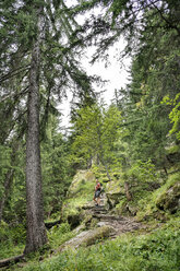 Schweiz, Wallis, Frau beim Wandern auf dem Massaweg in einem üppigen Wald - DMOF00122