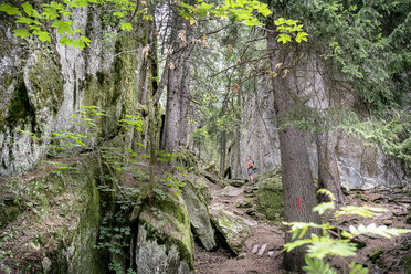 Switzerland, Valais, woman on a hiking trip on the Massaweg in a lush forest - DMOF00123