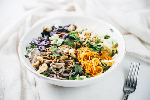 Bowl of buckwheat noodle salad with raw vegetables, roasted cashews, coriander and spicy dressing - IPF00497