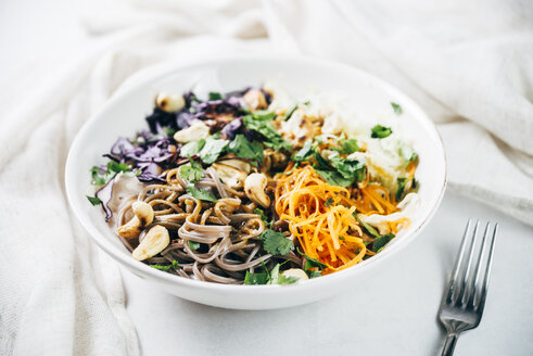 Schüssel Buchweizennudelsalat mit Rohkost, gerösteten Cashewnüssen, Koriander und würzigem Dressing - IPF00497