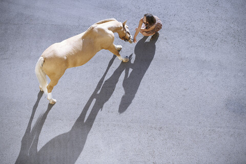 Overhed-Ansicht einer Frau mit Pferd auf einem Tarnac im Sonnenlicht, lizenzfreies Stockfoto