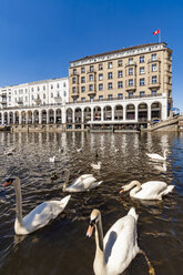 Germany, Hamburg, Alster Arcades and swans on the Little Alster - WDF05107