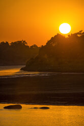 Zambia, South Luangwa National Park, Hippos at sunrise - RUNF01360