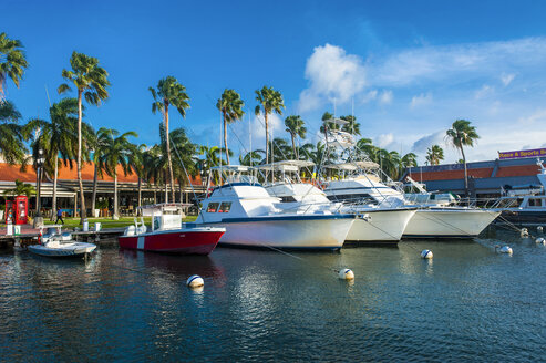 Carribbean, Aruba, Oranjestad, Yacht harbour in downtown - RUNF01364