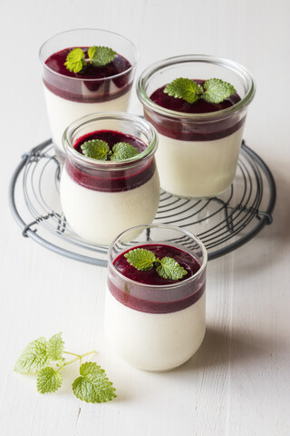 Panna cotta with berry sauce stock photo