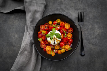 Schüssel mit Tomatensalat und Burrata - LVF07815