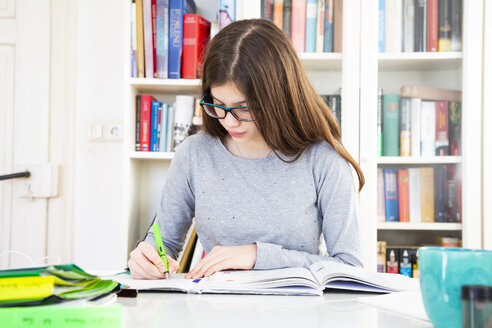 Girl doing homeworks - LVF07823